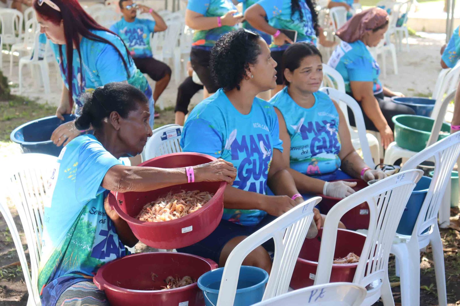 Dia dos Manguezais: celebração e I Olimpimangue em Atalaia