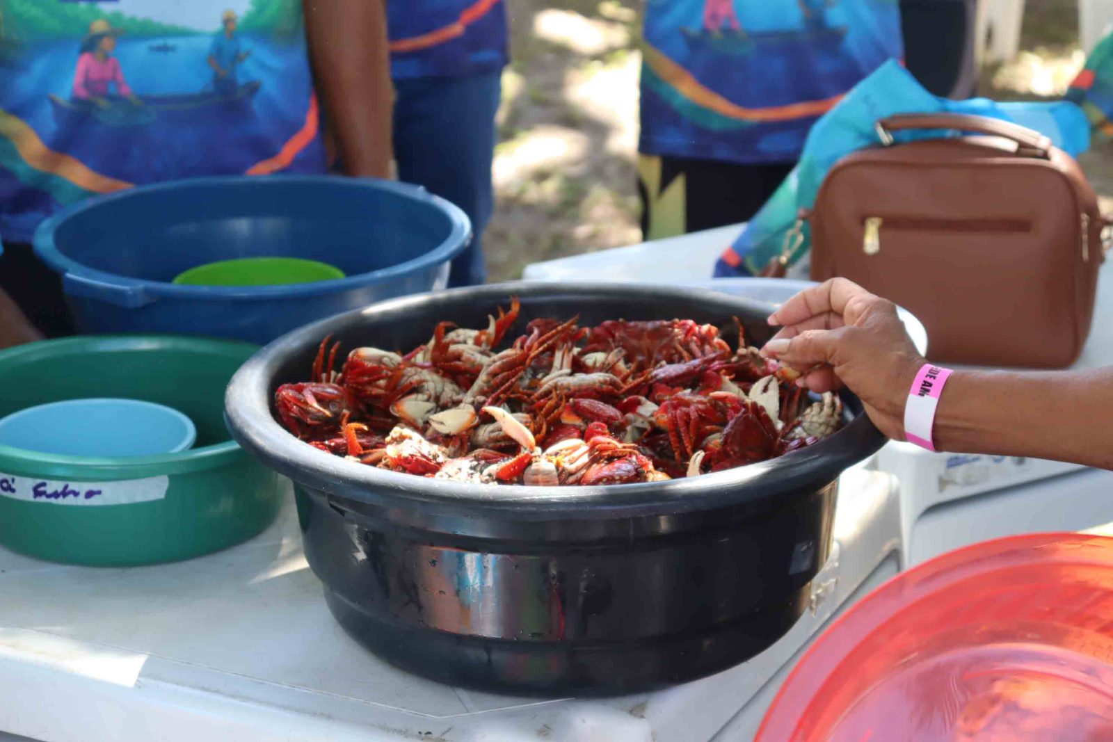 Dia dos Manguezais: celebração e I Olimpimangue em Atalaia