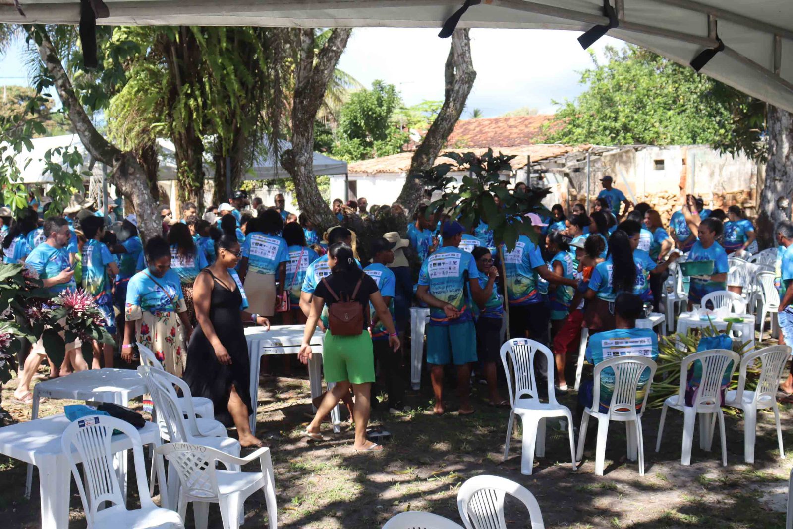 Dia dos Manguezais: celebração e I Olimpimangue em Atalaia