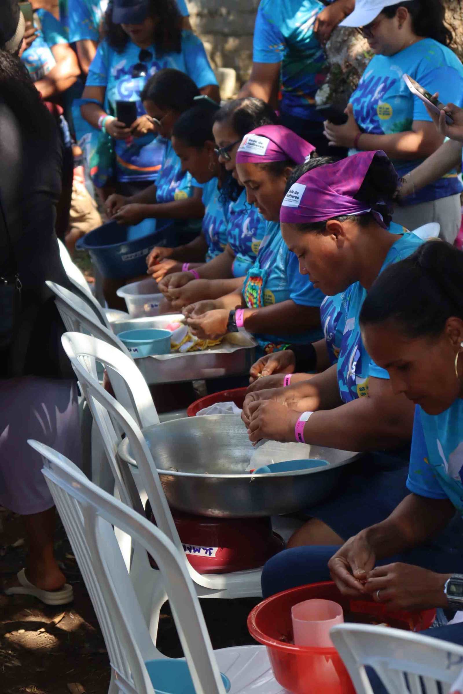 Dia dos Manguezais: celebração e I Olimpimangue em Atalaia