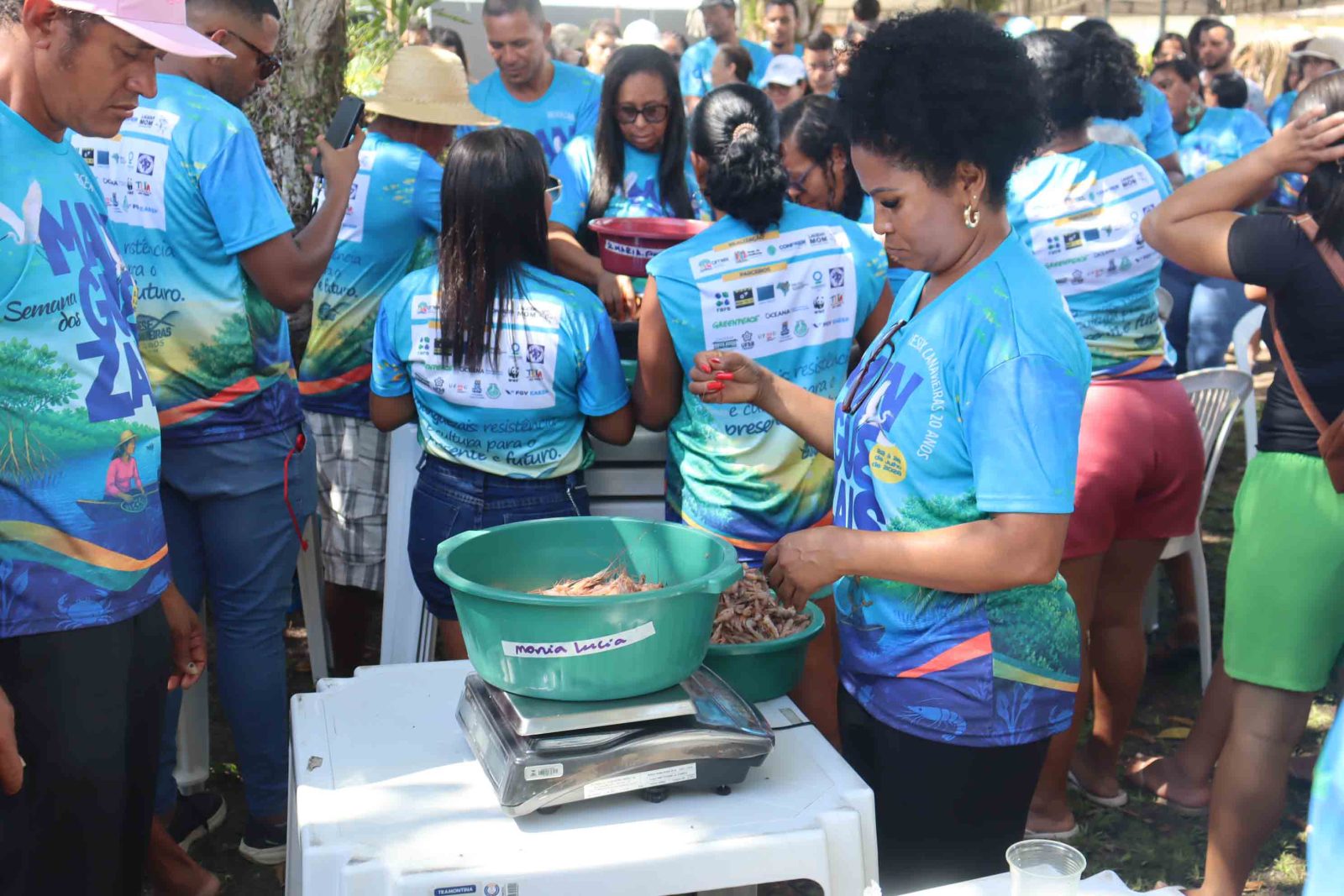 Dia dos Manguezais: celebração e I Olimpimangue em Atalaia