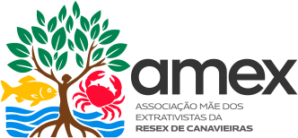 AMEX